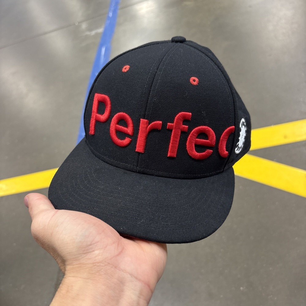 Unreleased Promo Sample Nike x TED Talk Portland Perfect Snapback Hat Promo READ